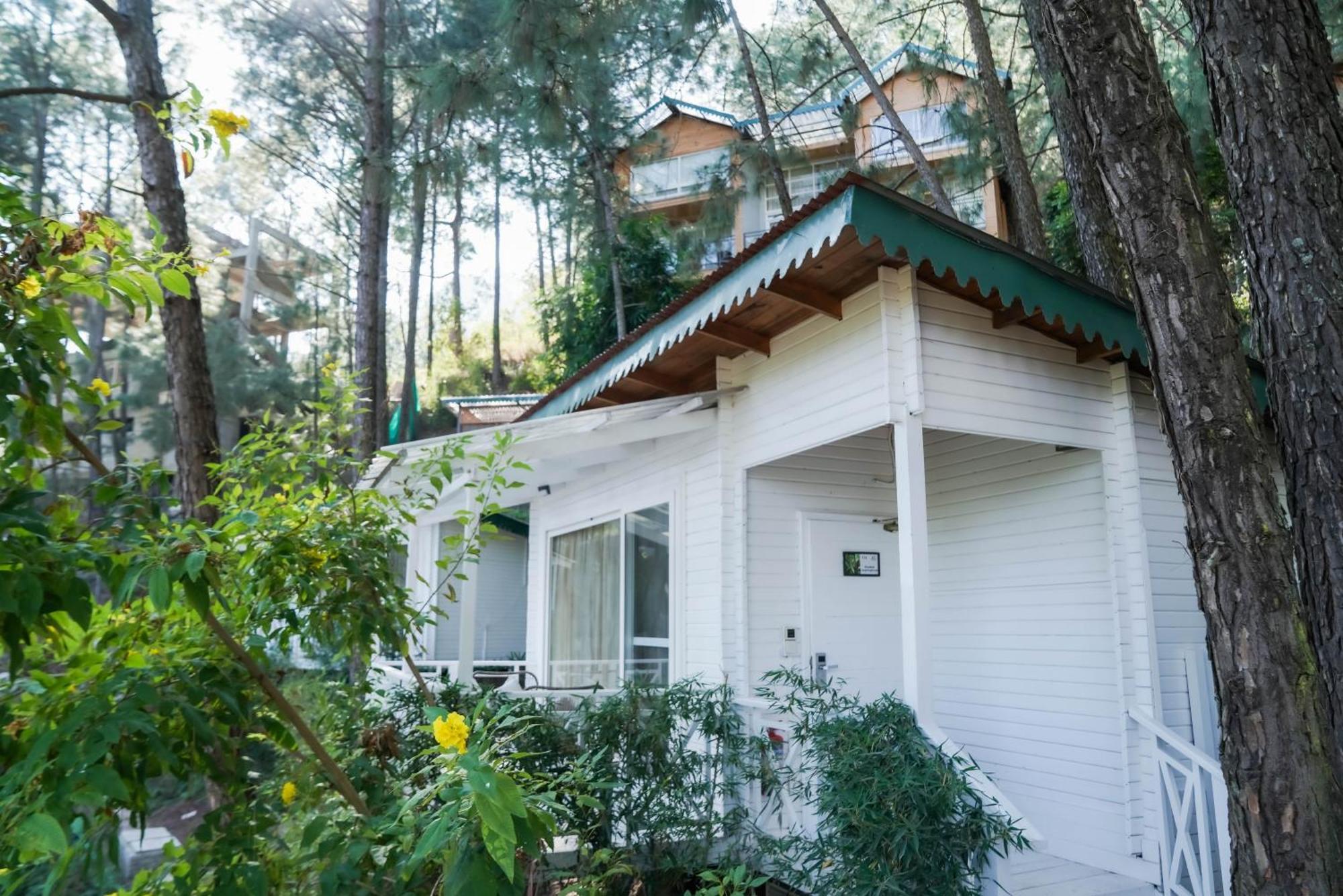Kasauli Hills Resort Exteriér fotografie